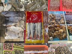 -大湾区中央湿地公园-十九涌