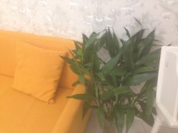 点击看大图 -Cocodemer女性健康·产后恢复(天一广场店)