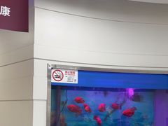 -雅悦齿科(顾村公园店)