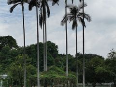 -桃花涧