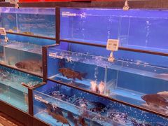 水产区-盒马鲜生(宝地店)