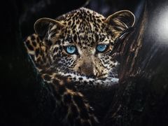 -罗红摄影艺术馆