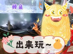 -本炙炭烤·蒲烧活鳗料理店(金沙洲店)