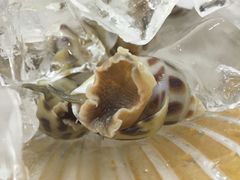 -蚝专家(北滘店)
