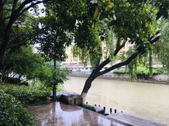 -运河游船(武林门码头)