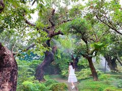 -Chom Cafe and Restaurant