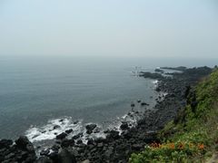 -涉地可支