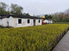 -溱湖国家湿地公园