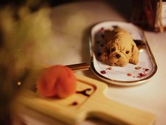 朱古力沙皮狗-甜喵酒吧(茂业店)