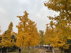 -长兴八都岕景区