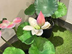 -芦月轩羊蝎子(劲松店)