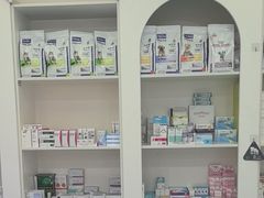 -特一安24小时宠物医院·骨科·中兽医