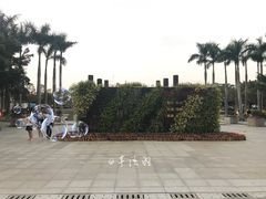 -聚龙山公园
