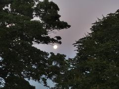 -武当山风景区