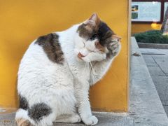 -西园戒幢律寺