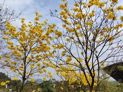 -中国移动南方基地