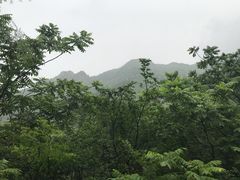 -云岫谷自然风景区