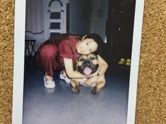 -美联众合爱康动物医院•复杂内科•肿瘤科•牙科•腔镜诊疗中心