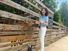 -圣露庄园·露营·烤肉·亲子