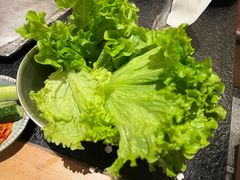 有机生菜-犟牛家·榴莲烤肉(五棵松店)