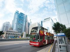 -Big Bus Tours 敞篷观光巴士