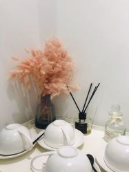-紫御国际抗衰ZOE ANTI AGING