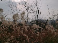 -金海湾滨江公园