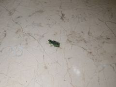 -惠州金海湾嘉华度假酒店