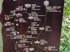 -张醪糟