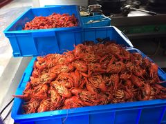 -杨胖子私房菜(秦虹路店)