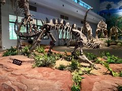 -自贡恐龙博物馆