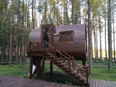 -黄海国家森林公园