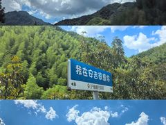 -安吉龙王山风景区