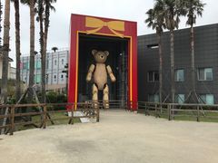 -济州岛泰迪熊博物馆