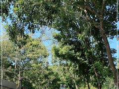 -火炉山森林公园
