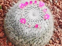 -南通洲际绿博园