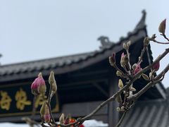 -凤凰沟景区