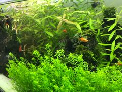 -UCCA Kids 儿童美育