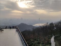 -紫金山山顶公园