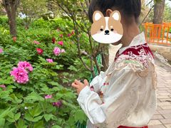 -太阳宫公园