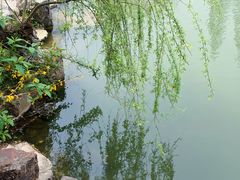 -水绘园