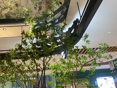 -大神太神·铁板烧(七宝领展广场店)