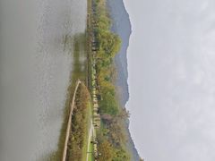 -千年银杏谷文化旅游区