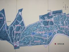 -云岗森林公园