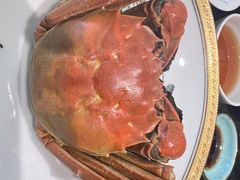 -新光酒家·河豚·海鲜·蟹料理(浦东店)