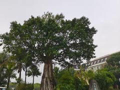 -湖泉半山温泉(湖泉生态园)