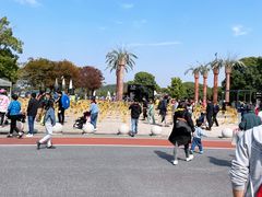 -上海月湖雕塑公园