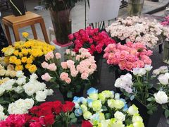 -循礼门鲜花花市(武汉循礼门店)