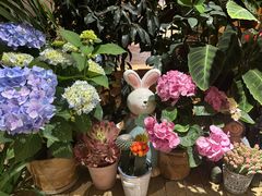 -萤火虫咖啡(后海店)