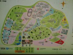 -广东茂名森林公园